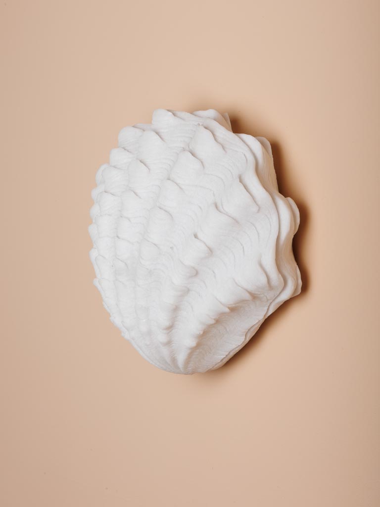 מנורת צדף Shell LED – תמונה 2