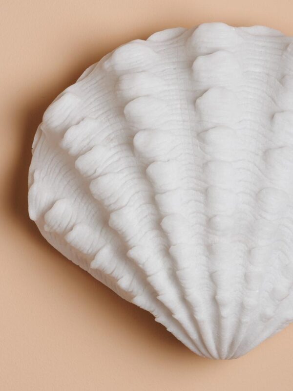 מנורת צדף לד