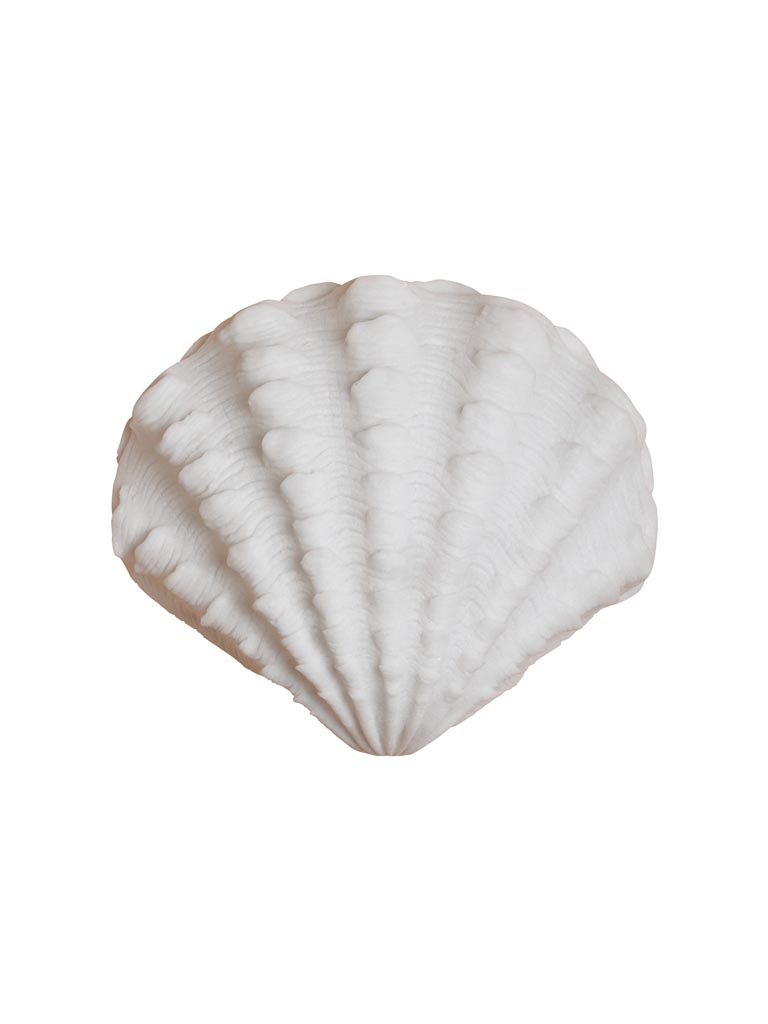 מנורת קיר צדף