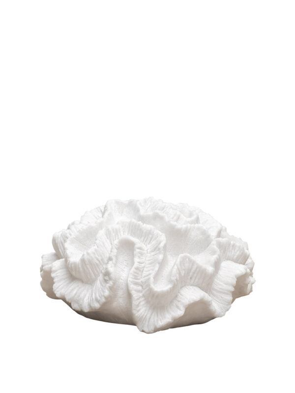 מנורת שולחן קורל ים