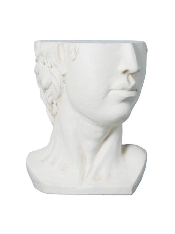 מדף דויד חצי ראש