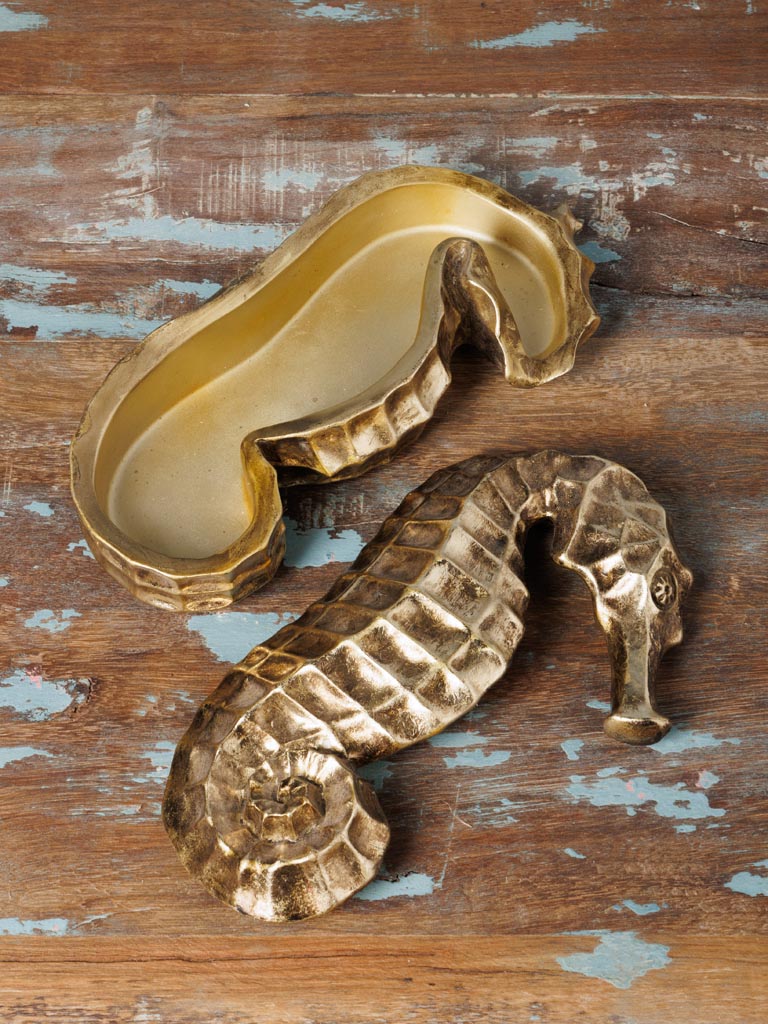 קופסא סוס ים Golden – תמונה 5