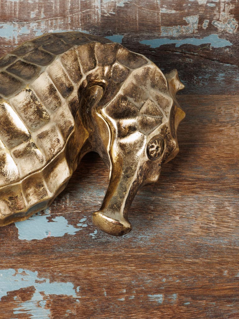 Golden seahorse קופסא